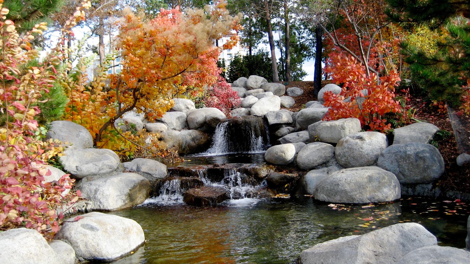 "Stone & Season" Autumn Waterfall at Boulder Creek