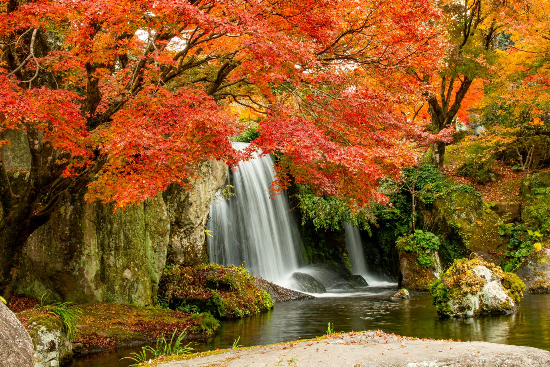 "Crimson Veil" Waterfall Beneath the Autumn Maples