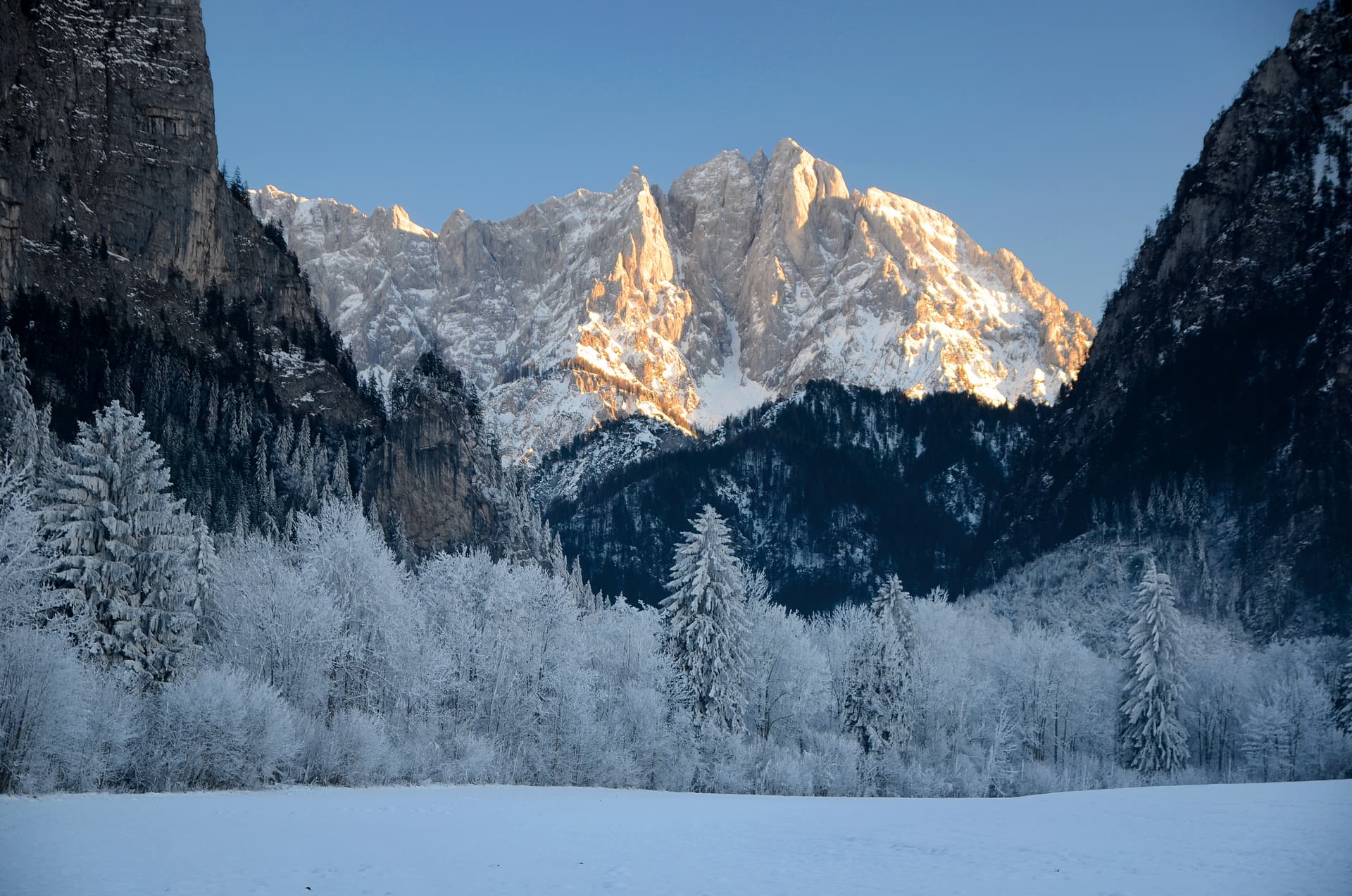 "First Light on the Giants" Dawn Breaks Over a Frozen Alpine Valley
