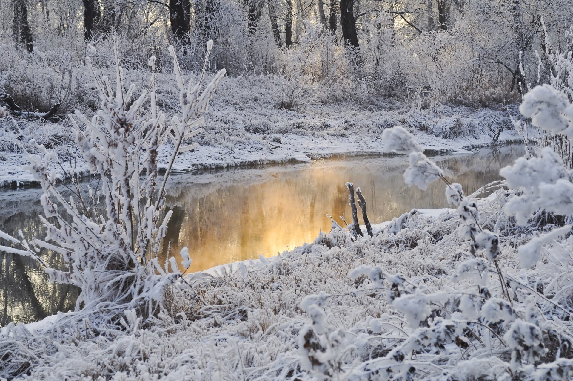 "Golden Mirror" Winter Creek at the Golden Hour