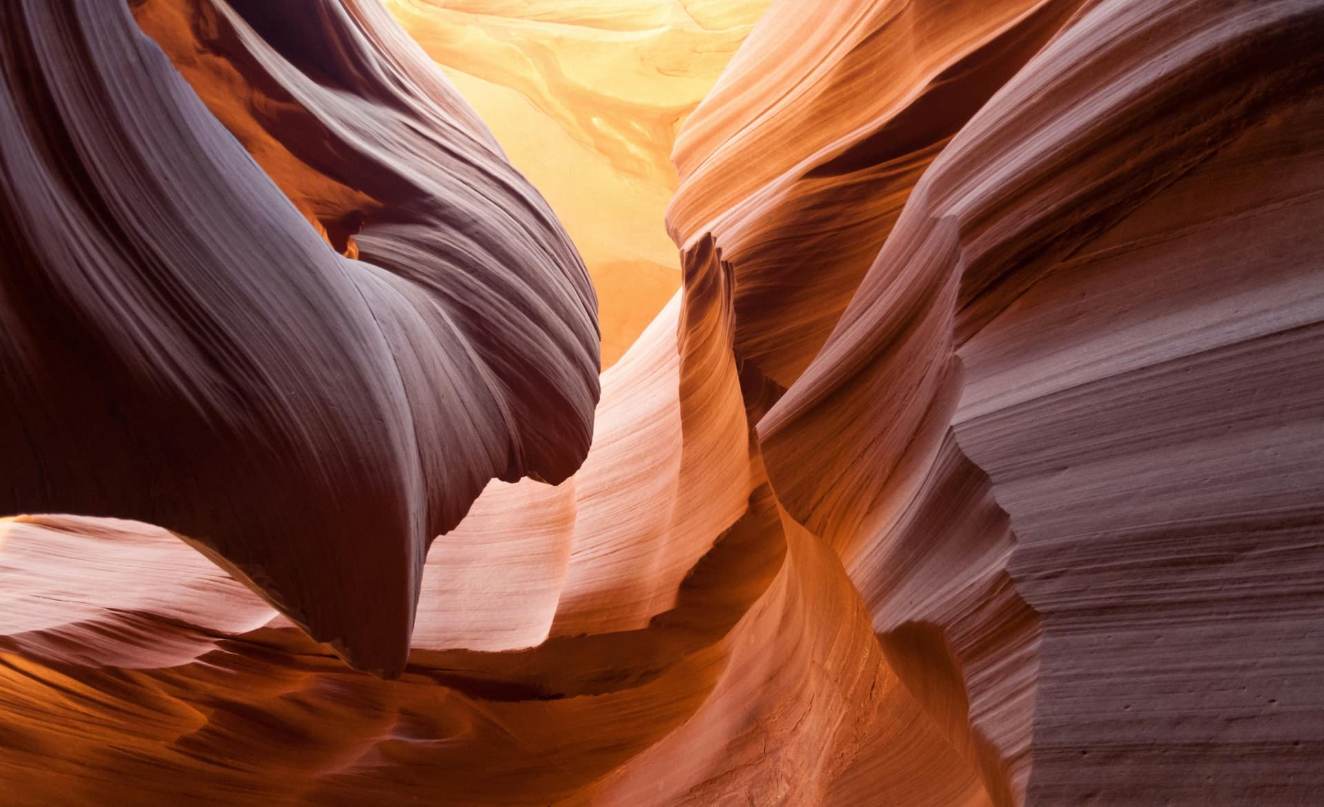 "Stone in Motion" The Wave Forms of Antelope Canyon